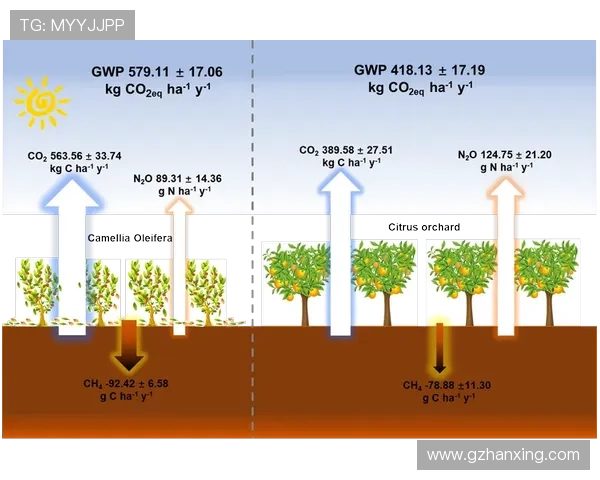 杭州网球队战术分析与应对策略的深度探讨与研究 杭州网球队战术分析与应对策略的深度探讨与研究