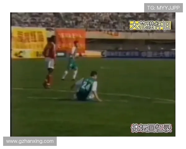 深圳羽毛球队挑战赛特别报道:从默默无闻到巅峰之路的奋斗与荣耀 深圳羽毛球队挑战赛特别报道:从默默无闻到巅峰之路的奋斗与荣耀