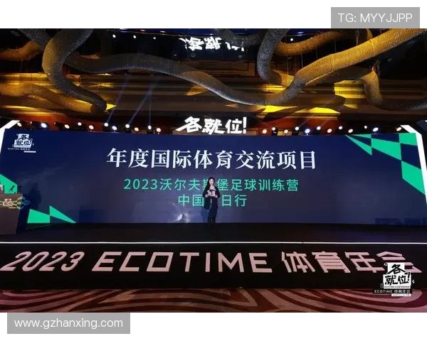 刘娜深度解析足球技巧与战术分享独家心得助你提升球技